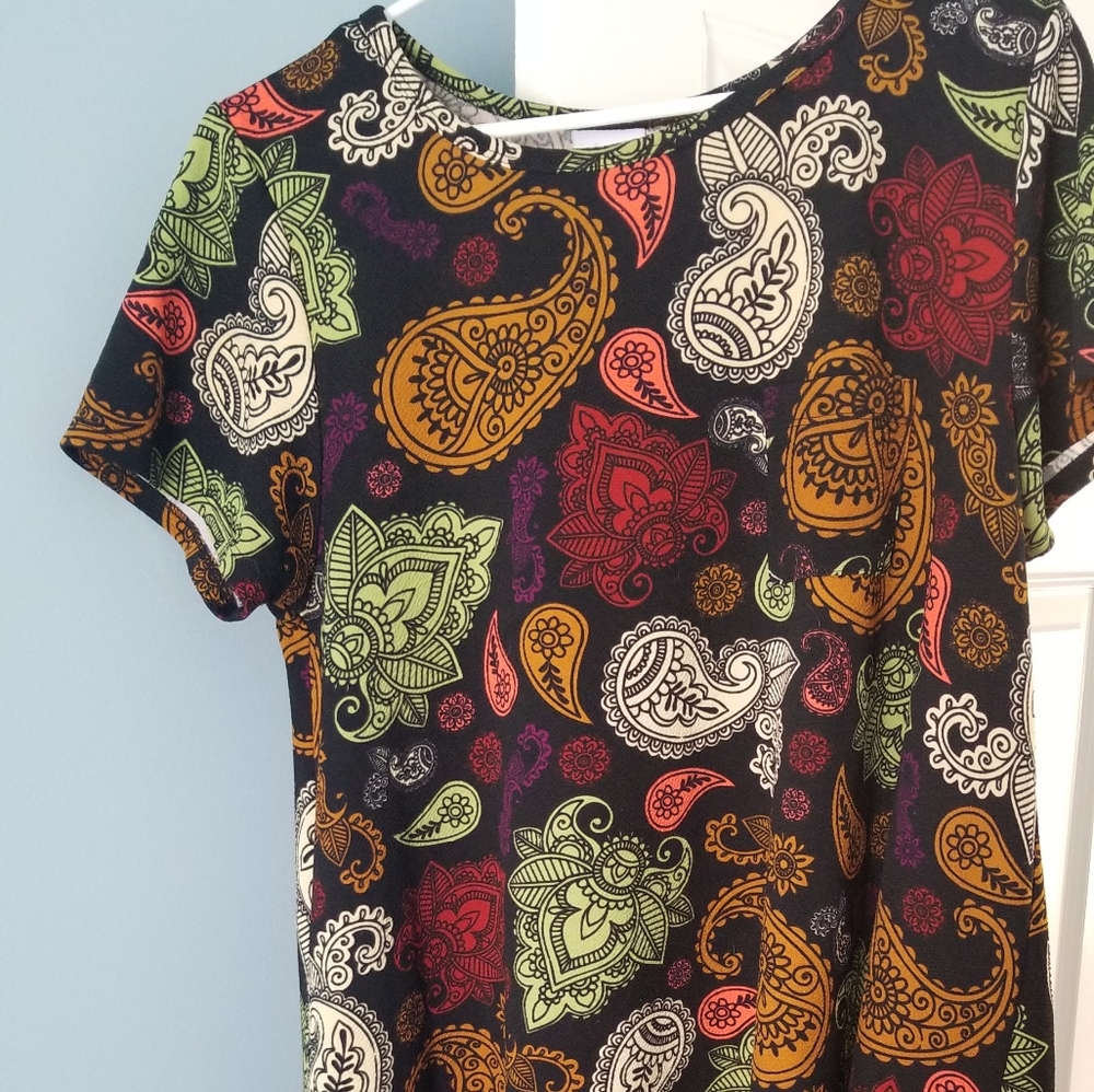 LulaRoe Carly Dress L